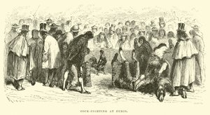 Combat de coqs à Cuzco - Edouard Riou